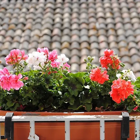 Bed and breakfast Casa Nipitella 2*